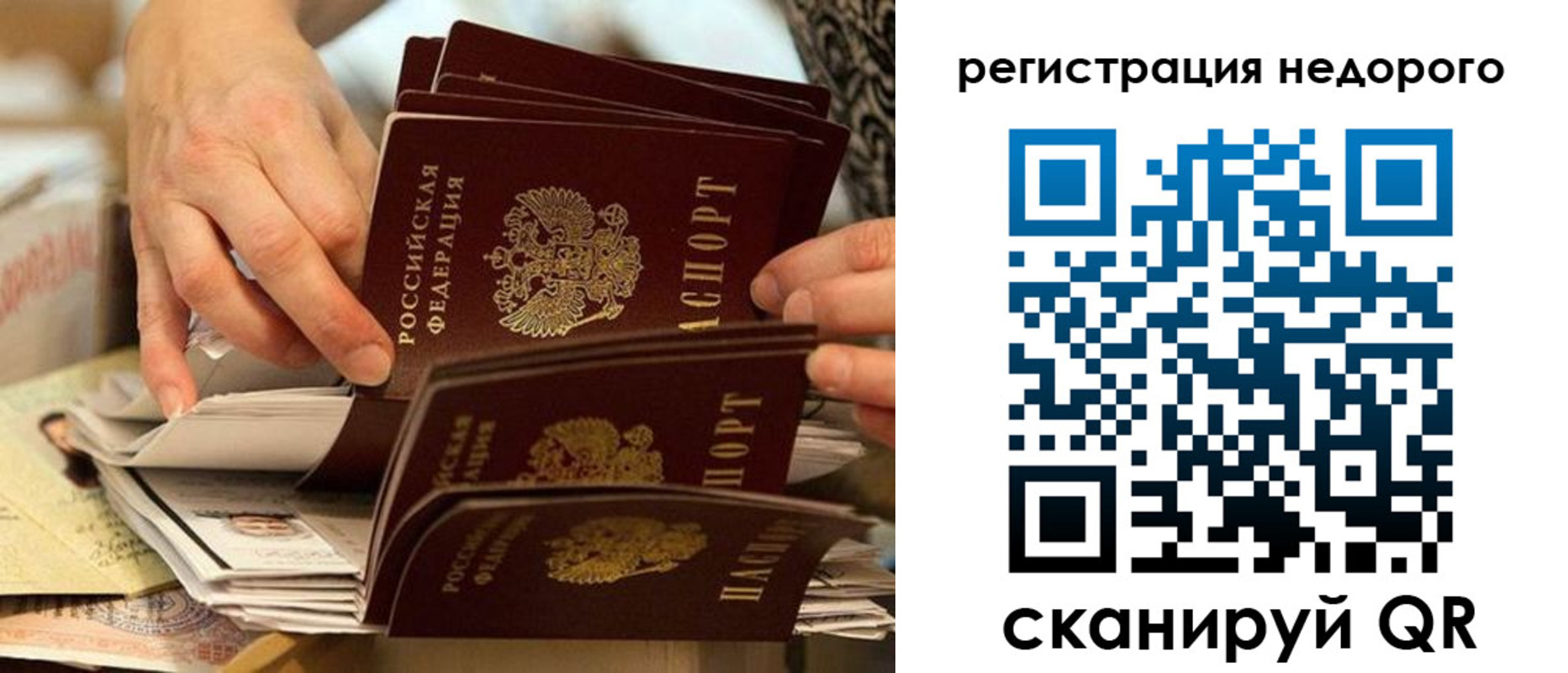 прописка в квартире в Михайловке